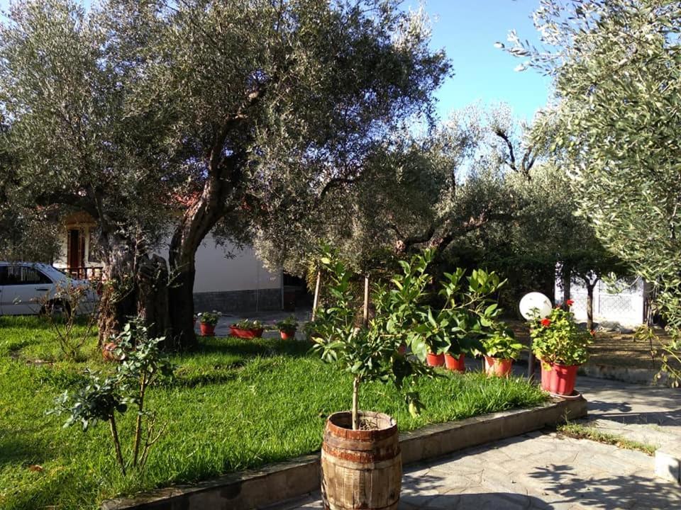 Villa Asimidou Agia Paraskevi  Exterior foto