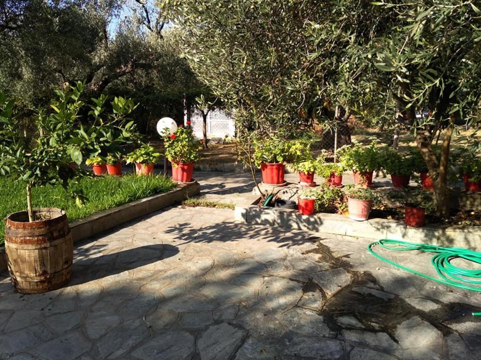 Villa Asimidou Agia Paraskevi  Exterior foto
