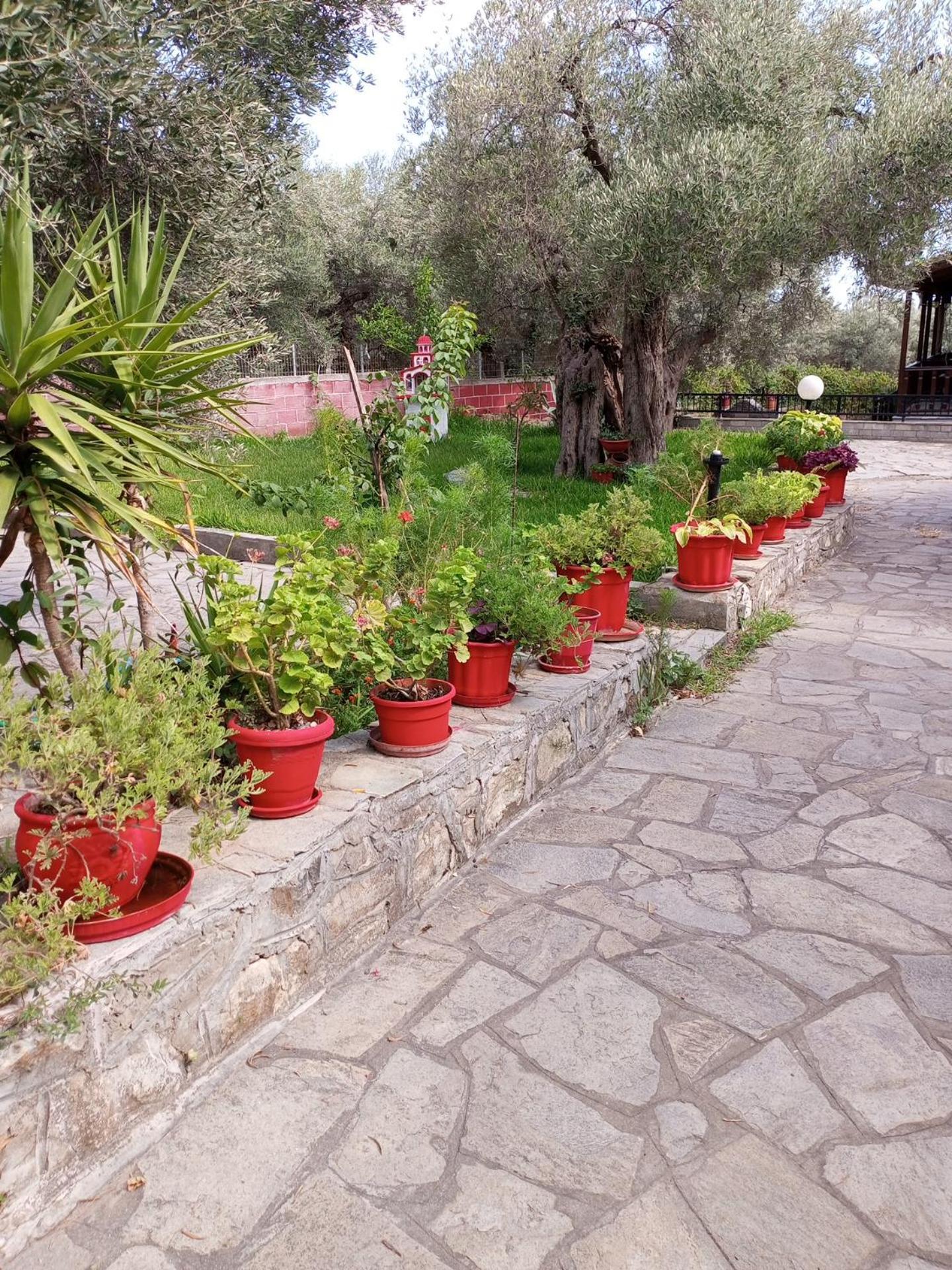 Villa Asimidou Agia Paraskevi  Exterior foto